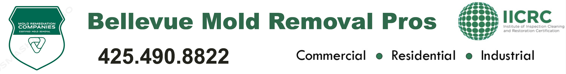 Bellevue Mold Removal Pros